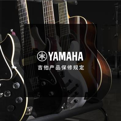 吉他、贝斯和音箱
